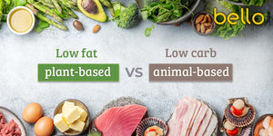 Which diet should you choose? Plant-Based(low-fat) vs. Animal-Based(low-carb)