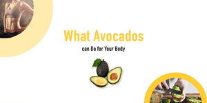 Incorporate Avocados in Your Diet to Reduce Belly Fat