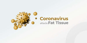 Scientists find Coronavirus attacks fat tissue